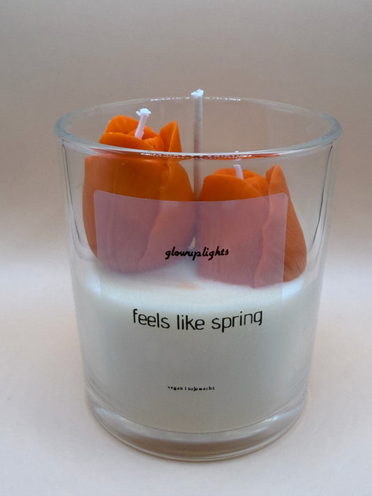 Feels like Spring | ca 450g | Sojawachs