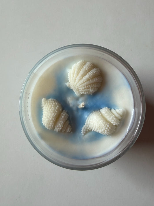 Ocean Vibes | ca 450g | Sojawachs